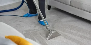 clean carpet cleaner cityhouse keeping