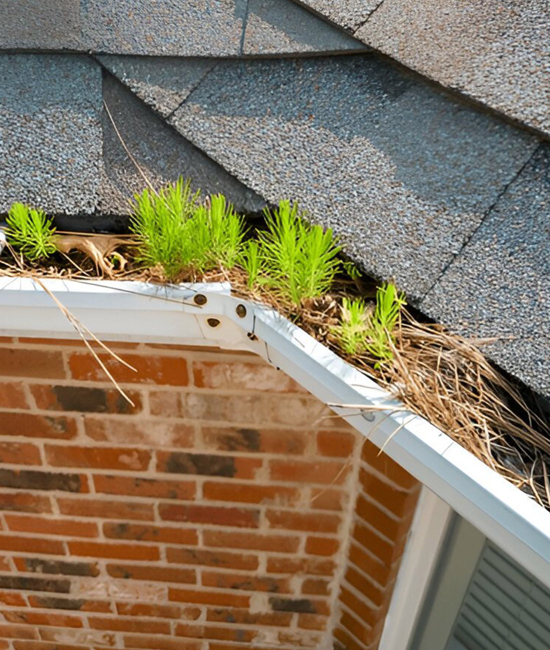 gutter-1 gutter-1