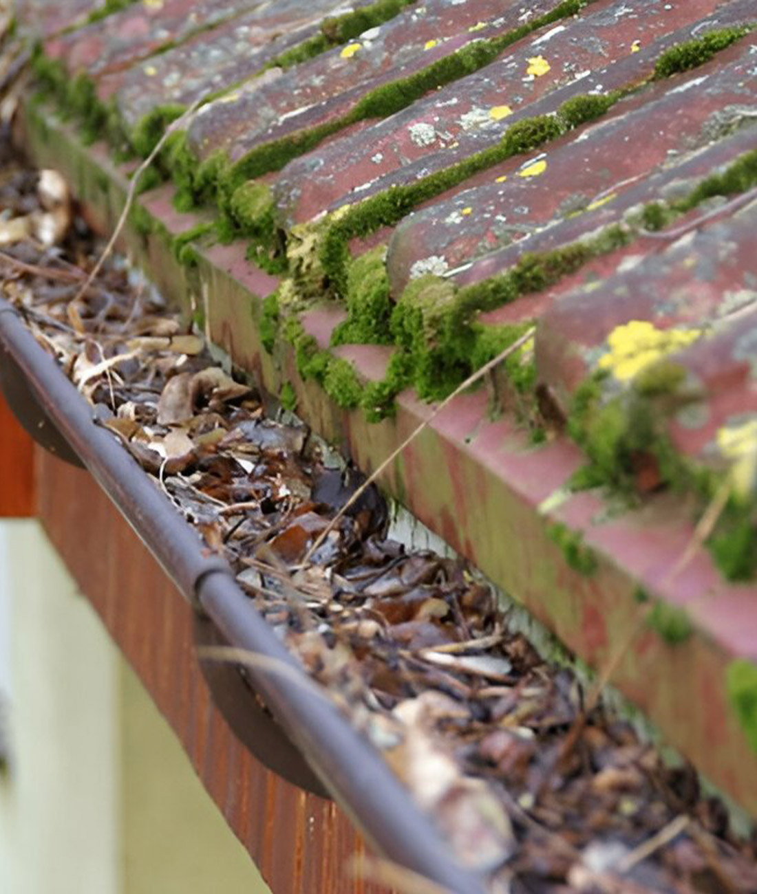 gutter-2 gutter-2