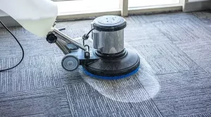 carpet-cleaning-solution-cityhousekeeping2