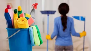 domestic-cleaning-london-experts