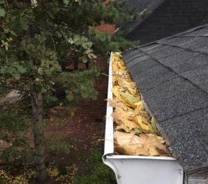 gutter-cleaning-near-me-london